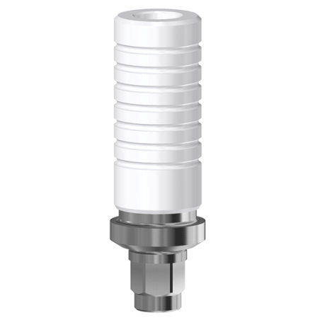 CoCr-ÜBERKOPFBASIS NICHT ROTATIONELL DENTSPLY XIVE
