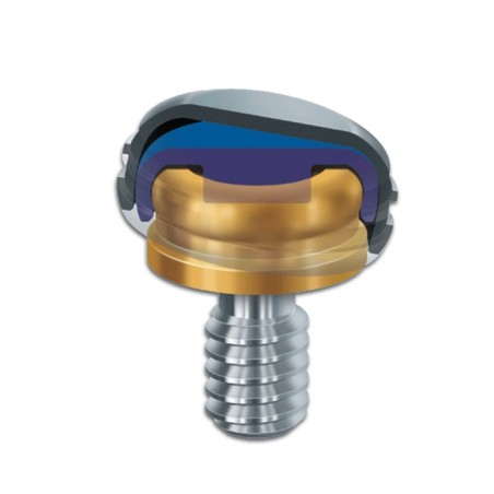 LOCATOR AUF IMPLANTAT